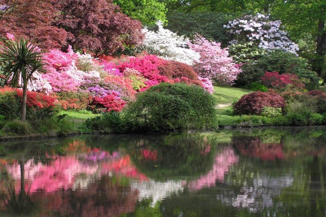 Exbury Gardens