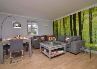Homelands lounge (1)