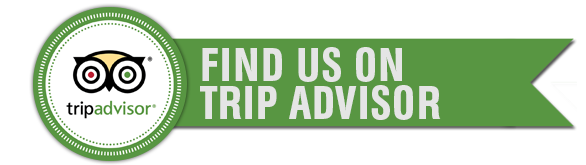 Tripadvisor logo